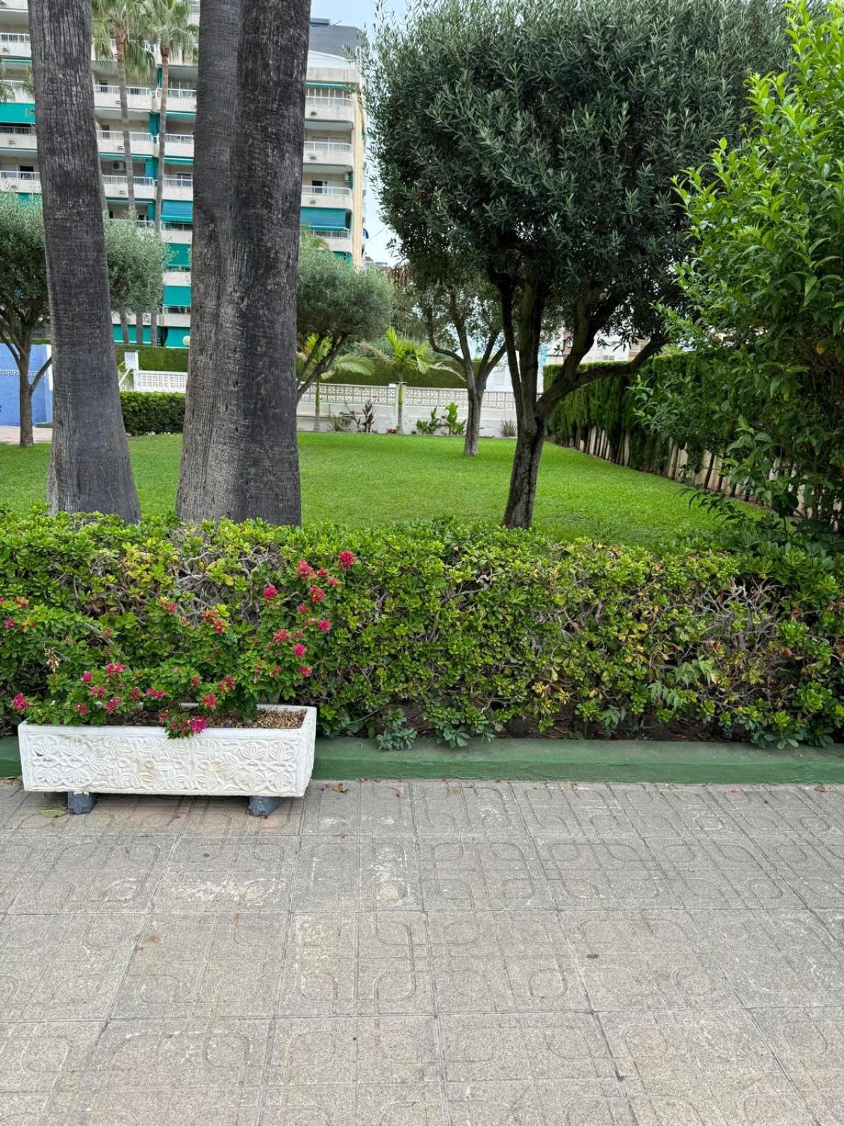 Laramar Apartment Playa de Gandia Ngoại thất bức ảnh